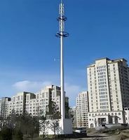 定制设计热镀锌Q355B钢制单柱塔5G基站通信单柱塔，使用寿命50年