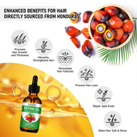 Minyak Batana 100% Organik Mempromosikan Pertumbuhan Rambut Perawatan Rambut Minyak Esensial
