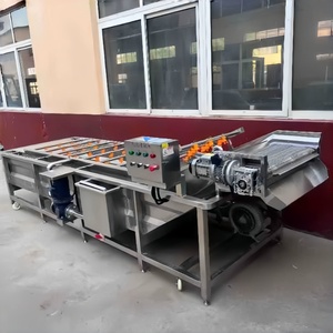 Máquina automática para lavar verduras, línea de limpieza y secado para compras al por mayor, máquina para lavar chiles rojos, altamente recomendada - Product Image 6
