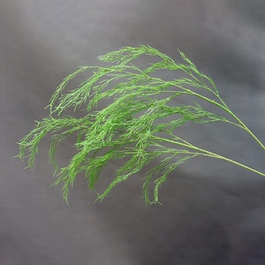 Herbe d'asparagus artificielle, bourgeons de saule à haute tige, décoration douce faite à la main, thème forêt, mariage, style Monet, utilisation intérieure/extérieure - Product Image 2