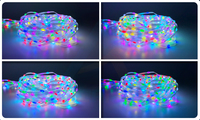 Guirlandes lumineuses LED intelligentes DC12V WS2811 pour décorations de Noël extérieures, lumières de rideau LED pour une ambiance festive