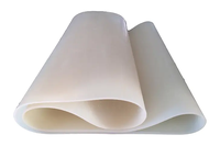 Bande transporteuse transparente sans couture blanche MINSEN, fabricant de bandes transporteuse en silicone