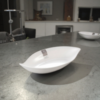 Plat à fruits en plastique 250 ml, design européen élégant en mélamine
