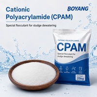 Poliacrilamida Catiónica de Alta Eficiencia (CPAM) Floculante para Deshidratación de Lodos Orgánicos Industriales y Tratamiento de Aguas Residuales