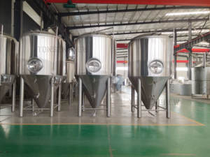100L 5HL 500L sistema di fermentazione saccarificazione birreria brew pub chiavi in mano progetto micro <span class=keywords><strong>brewing</strong></span> attrezzature - Product Image 6