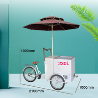 Chariot de crème glacée commerciale, glacière tricycle congélateur chariot de vélo vente de jus et de crème glacée chariot alimentaire mobile avec roues