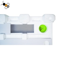 Ruche Langstroth isolée pour l'élevage des reines, en mousse, en plastique blanc, boîte de reproduction en polystyrène expansé (EPS) pour l'apiculture