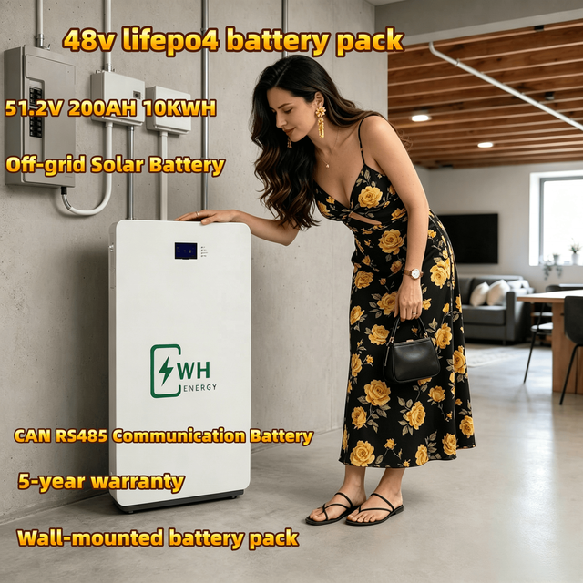 Wall Mount Lithium Battery 5kwh 10kwh 15kwh 48v 51.2v 100ah 200ah 300ah Lifepo4 Lithium Ion Batteries Pack Home Energy Storage