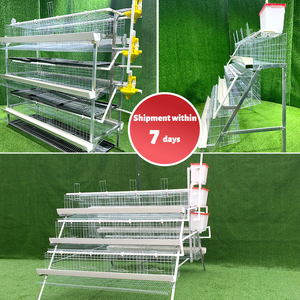 Cage à poules pondeuses de type A, 3/4 niveaux, pour 10 000 poules pondeuses, vente chaude pour l'élevage - Product Image 4