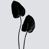 Fleur artificielle de haute qualité, lotus guanyin, anthurium, toucher réel, longue tige, pour mariage, hôtel, maison, bureau, décoration commerciale