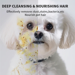 Lingettes pour animaux de compagnie, pour chiens et chats, boîte de 6 pièces, hypoallergéniques, non parfumées, nettoyantes et désodorisantes - Product Image 2