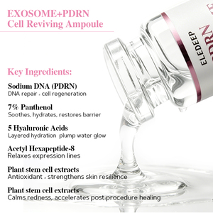 Ampoule éclat de peau <span class=keywords><strong>M</strong></span> PDRN, améliore l'éclat de la peau, hydratant, raffermissant, sérum pour le visage PDRN, hydratation intense, sérum <span class=keywords><strong>Exo</strong></span>, soin de la peau, OEM ODM - Product Image 4