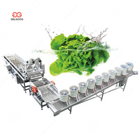 Gelgoog Groente Verwerking Machine Sla Wassen Lijn Fruit Tomaten Wassen Lijn