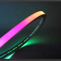 Lampu Strip LED Fleksibel Neon RGB 5050 IP67 PVC Silikon 12V/24V Panjang 10m Putih Hangat dengan Pengontrol Kontrol Suara 12mm
