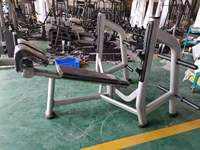 Banc incliné A45 de marque Qianyi, équipement de gym commercial de haute qualité à charge par plaques métalliques, fournisseur direct d'usine en gros