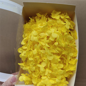 Pétalos de Hortensia Preservados, Flores Secas para Manualidades, Suministros para DIY, Regalo Perfecto para el Día de la Madre, Caja Cuadrada para Arte en Resina, Fabricación de Velas Eternas - Product Image 6