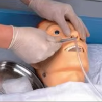 Simulador de Entrenamiento Nasogástrico de Medio Cuerpo, Modelo de Enseñanza de Intubación Endotraqueal, Modelo Anatómico Médico, Maniquí de Enfermería