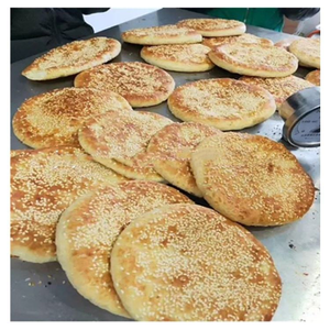 Four rotatif à gaz commercial le plus vendu, idéal pour la cuisson de tortillas et la pâtisserie, type four tandoori. - Product Image 5