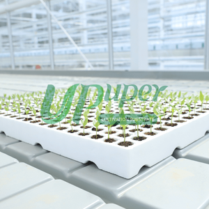 Khay ươm hạt giống bằng xốp xốp cách nhiệt UPuper, 240 ô, dùng cho rau trồng trong nhà kính - Product Image 5