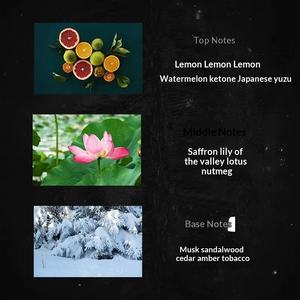 <span class=keywords><strong>Eau</strong></span> de Parfum Pure Water <span class=keywords><strong>Issey</strong></span> Miyake pour Homme, Vétiver, Format Standard, Vaporisateur, Étudiant - Product Image 3