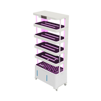 Système hydroponique de culture à domicile de haute qualité pour la culture de légumes surélevés intelligents pour les concombres et les tomates
