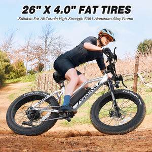 EE. UU. Stock 48V 13AH 500W Fat Tire Mountain Ebike Multi Modo Pantalla LCD Sport Ebike Step Thru - Product Image 6