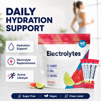 Poudre d'électrolytes en sachets individuels, sans sucre, végétalien, étiquette propre, OEM ODM, marque privée, saveur personnalisée, fournisseur d'usine, MOQ, riche en protéines