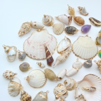 Berbagai Liontin Kerang Pantai Scallop Baru yang Cantik, Gaya Conch, Berlapis Emas Alami, Liontin Kerang Kecil Nan Indah, Manik-Manik Kerang Kecil Nan Menawan