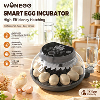 WONEGG Incubateur automatique professionnel pour 12 œufs de volaille, machine à couver pour poulets et oiseaux