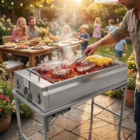 Barbecue au charbon de bois en acier inoxydable avec ventilateur à air alimenté par batterie intégré, pliable, portable, pour le camping en plein air