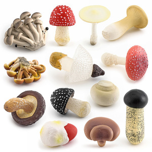 Kit di Apprendimento Precoce per Bambini, Modelli Realistici di Funghi in Miniatura, Giocattoli Statici a Tema Vegetale con Shiitake e Funghi Ostrica - Product Image 2