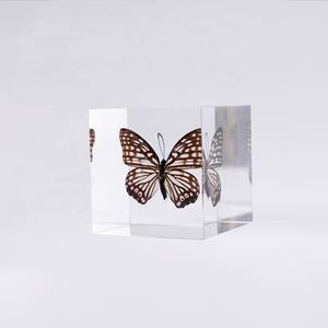 Regali personalizzati creativi incorporati in acrilico Lucite bottiglia di montatura fermacarte articoli Souvenir decorazione per la casa per bambini Educa - Product Image 6