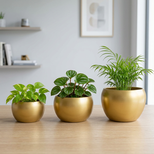 Modern Gold Metal Round Planters 3 Piece Set <b>Small</b> Decorative <b>Pots</b> For Indoor Desk - Product Image 6