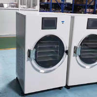Commerciële hoog-efficiënte machine voor het vriesdrogen van fruit en groenten, voedsel-lyofilisator, vriesdroogapparatuur, vacuümdroogapparatuur