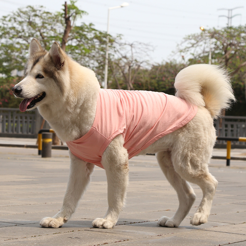 Gilet 100% coton en pur rose clair