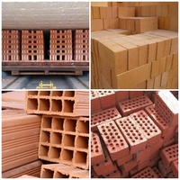 Ligne de production de briques creuses et pleines, extrudeuse de briques, machine à mouler les briques rouges en terre cuite, machine à fabriquer des tuiles en argile pour murs