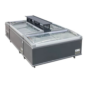 <span class=keywords><strong>Congélateur</strong></span> commercial <span class=keywords><strong>combiné</strong></span> avec îlot de présentation et 2 portes vitrées à refroidissement direct - Product Image 2