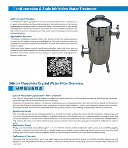 <span class=keywords><strong>Filtro</strong></span> Acqua Siliphos per Serbatoi: Antiruggine e Anticalcare per Acqua di Ricircolo in Hotel, Uso Domestico e Industriale - Product Image 4