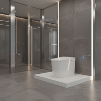 H082 Toilette à siège électrique avec couvercle automatique rabattable en acier inoxydable, sans restriction de pression d'eau, directement de l'usine transfrontalière