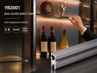 Profilé en aluminium pour étagère en verre de 8 mm, armoire à vin, gris gentleman, rétroéclairage dégradé, boîtier YB2001-31