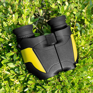 Jumelles de vision nocturne 10X25 portables haute définition pour usage extérieur avec stabilisation d'image et protection IP53 - Product Image 1