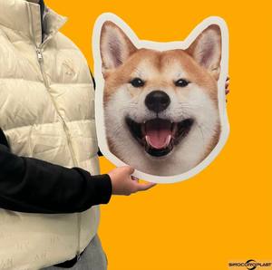 Cartelli da Giardino Personalizzati Stampati Resistenti ai Raggi UV Ecologici in PP Ondulato 4mm Impermeabili per Eventi e Compleanni - Product Image 6