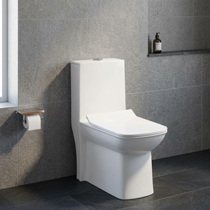 WC monobloc Specto Black Gold Ceramic à double chasse et autonettoyant, à poser au sol, pour villa - Product Image 5