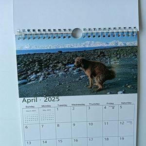 2026 A4 Size Wall <b>Calendar</b> Personalized House Advent <b>Calendar</b> with Pooping Dogs Colorful Spiral Printed Custom <b>Calendar</b> - Product Image 6