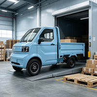 Véhicule électrique mini pick-up multifonctionnel, EEC/COC/L7e CP, moteur 4000W, adapté au transport agricole et urbain