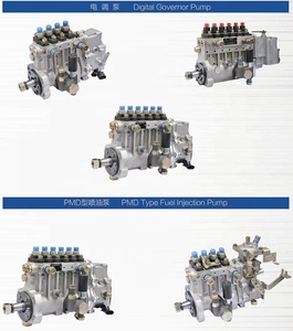 Kangda Nieuwe Diesel Motor Mechanische Brandstofinjectiepomp BH4QT90R9 4QT966WD Hoge Snelheidsstaal ISO/TS16949 Gecertificeerd voor Changchai - Product Image 4