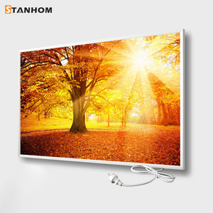 Stanhom nhà carbon tinh thể rạng rỡ điện hồng ngoại Bảng điều khiển nóng - Product Image 1