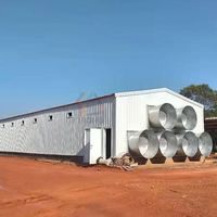 Bâtiment d'élevage avicole moderne personnalisé en acier avec entrepôt de stockage d'œufs pour poulets de chair et poules pondeuses à vendre