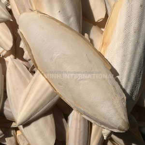 กระดูกปลาหมึกแห้งพรีเมียม เวียดนาม |   หลายขนาด 5-15 ซม. ขึ้นไป สำหรับนก เต่า หอยทาก และสัตว์เลี้ยง - Product Image 1