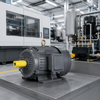 Moteur électrique à induction triphasé 11 kW à faible consommation d'énergie pour pompe à huile de machine d'injection